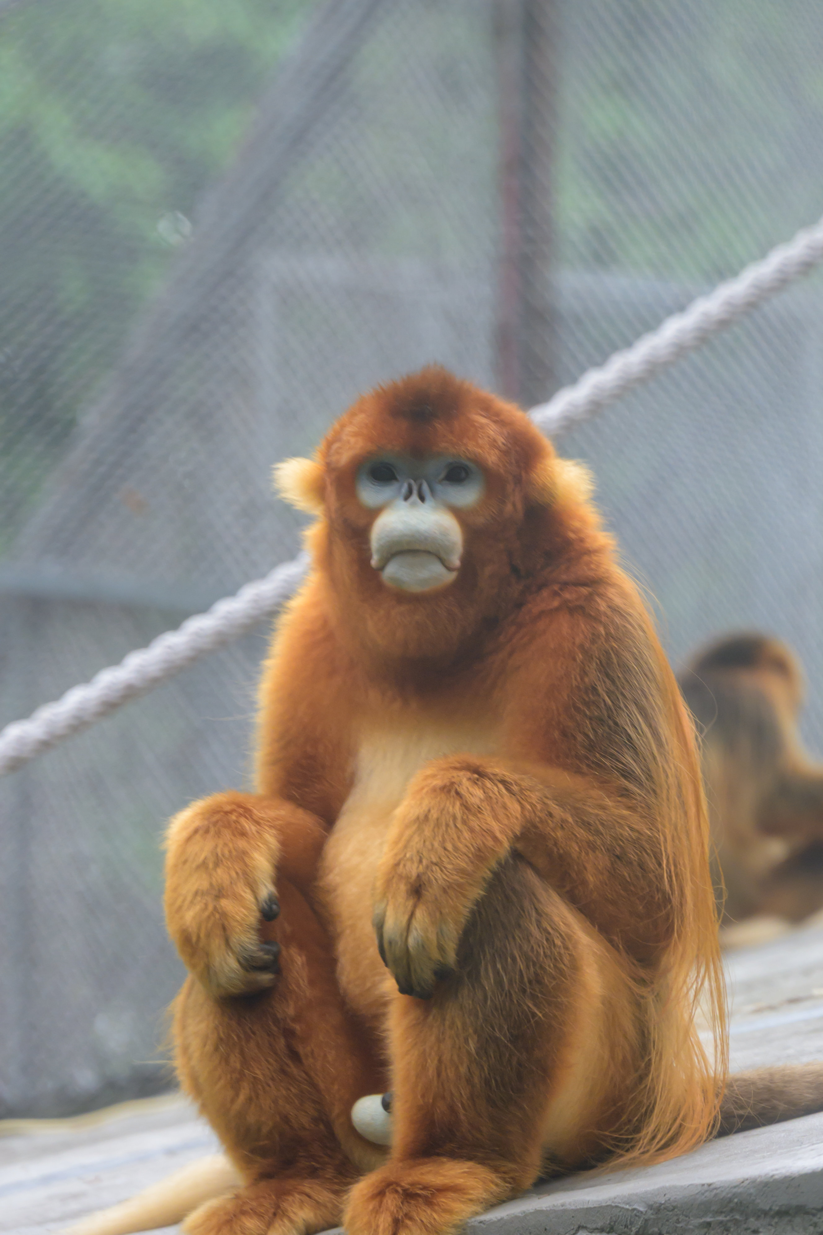 DSC_1099_结果.jpg