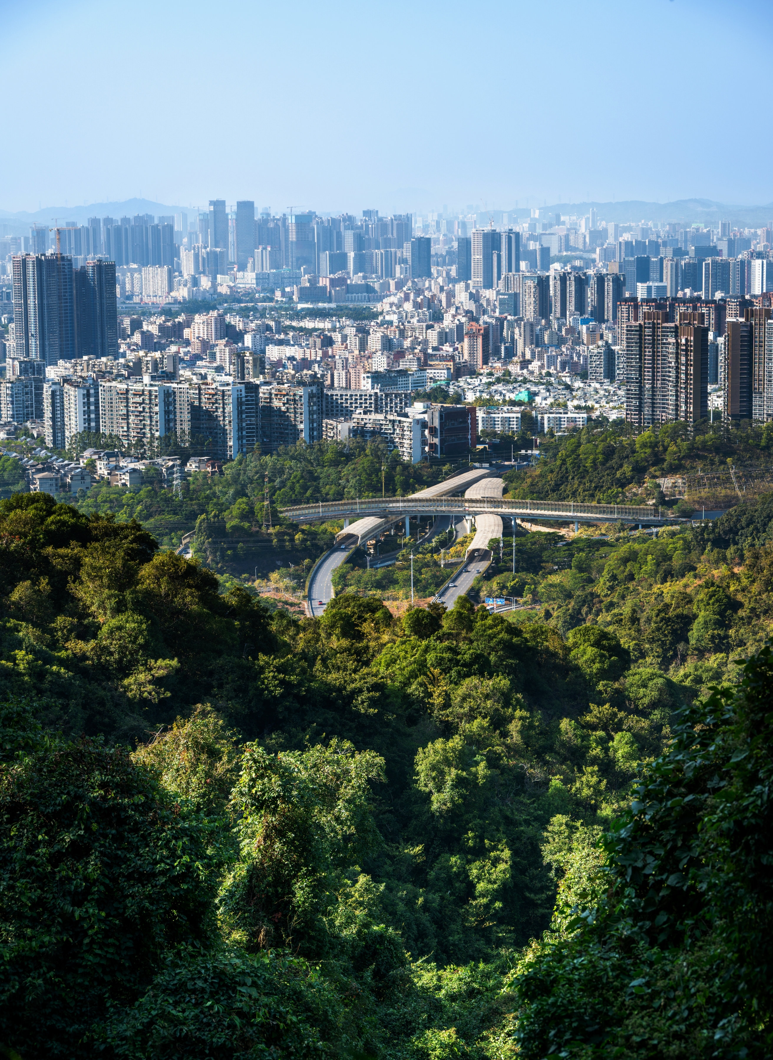 retouch_2026011119191486_结果.jpg