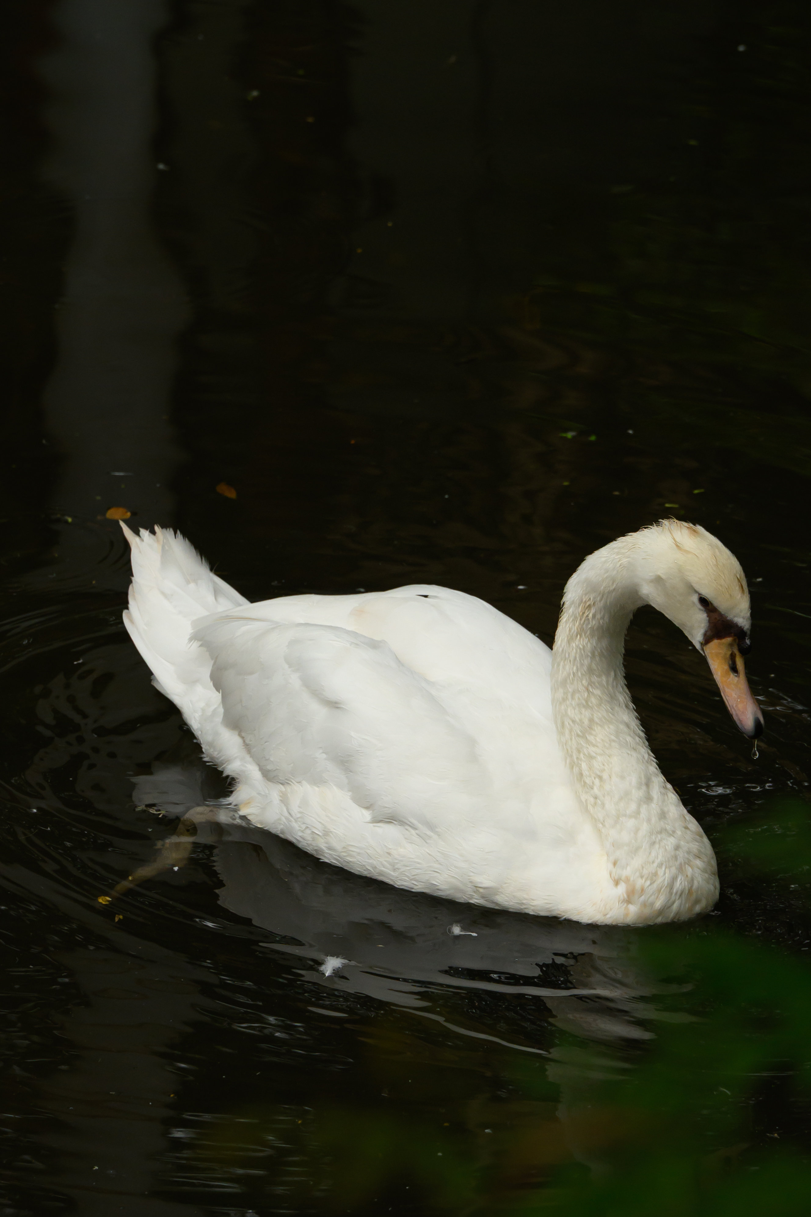 DSC_1183_结果.jpg