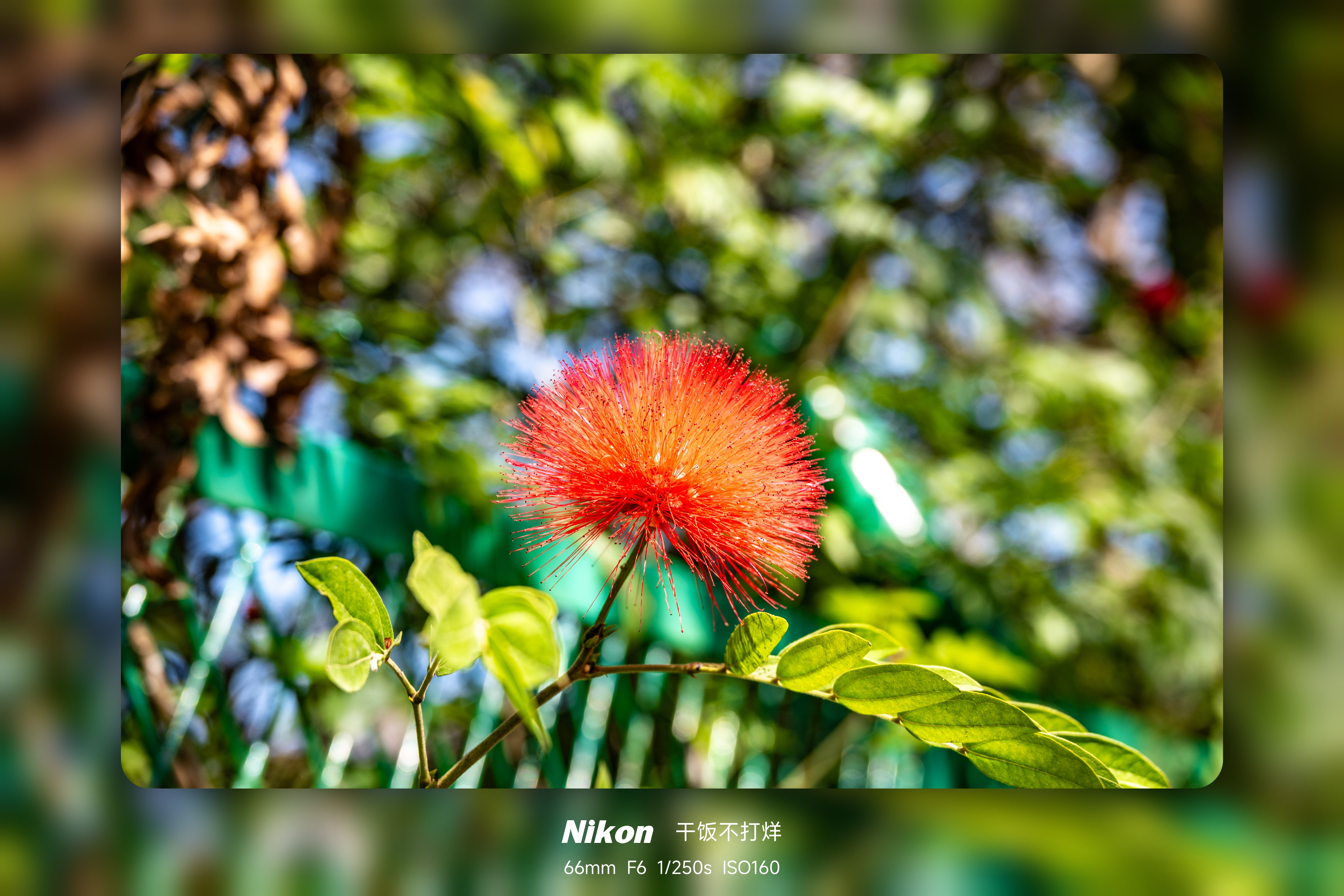 light_shadow_border_1770827986551_结果.jpg