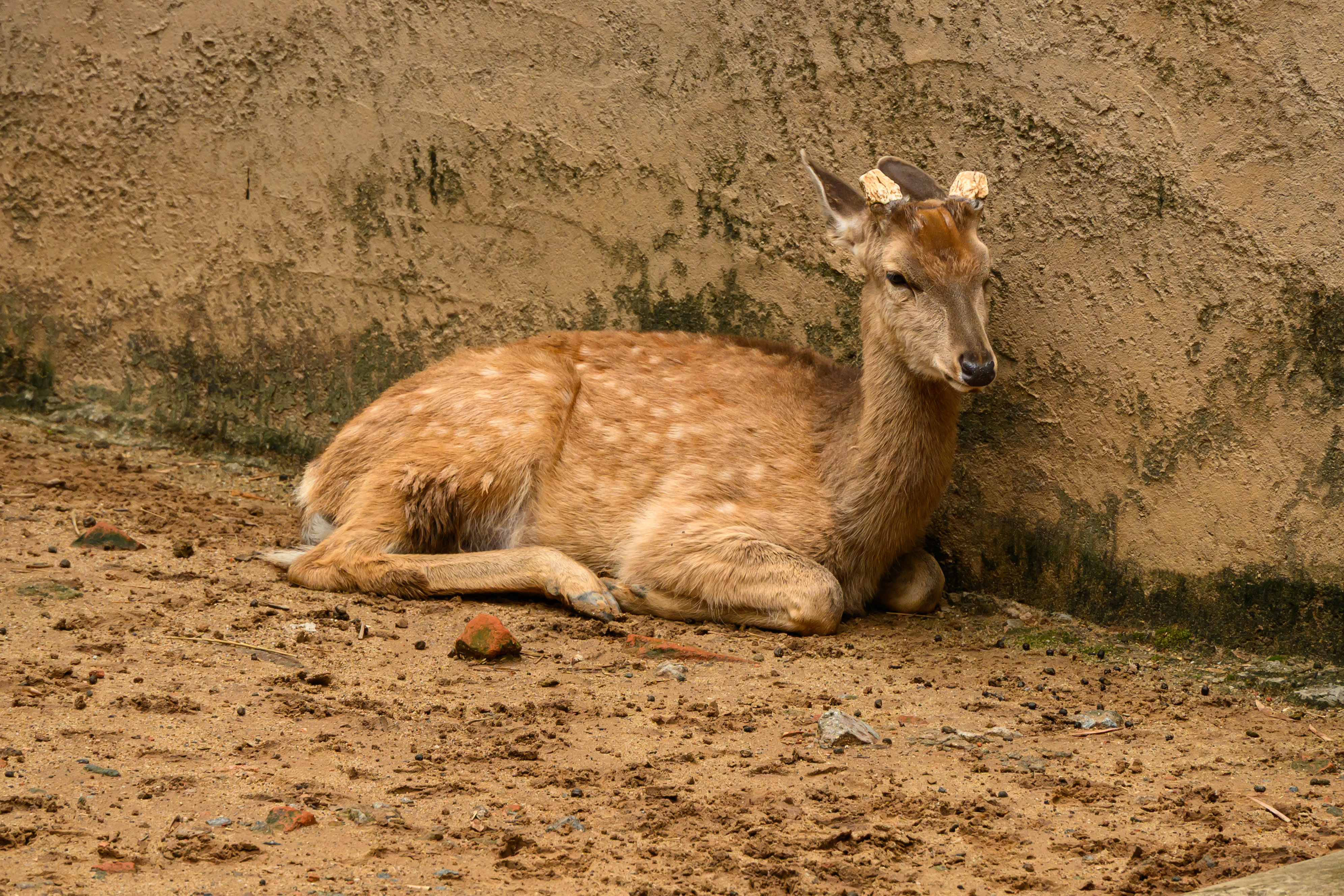 DSC_1332_结果.jpg