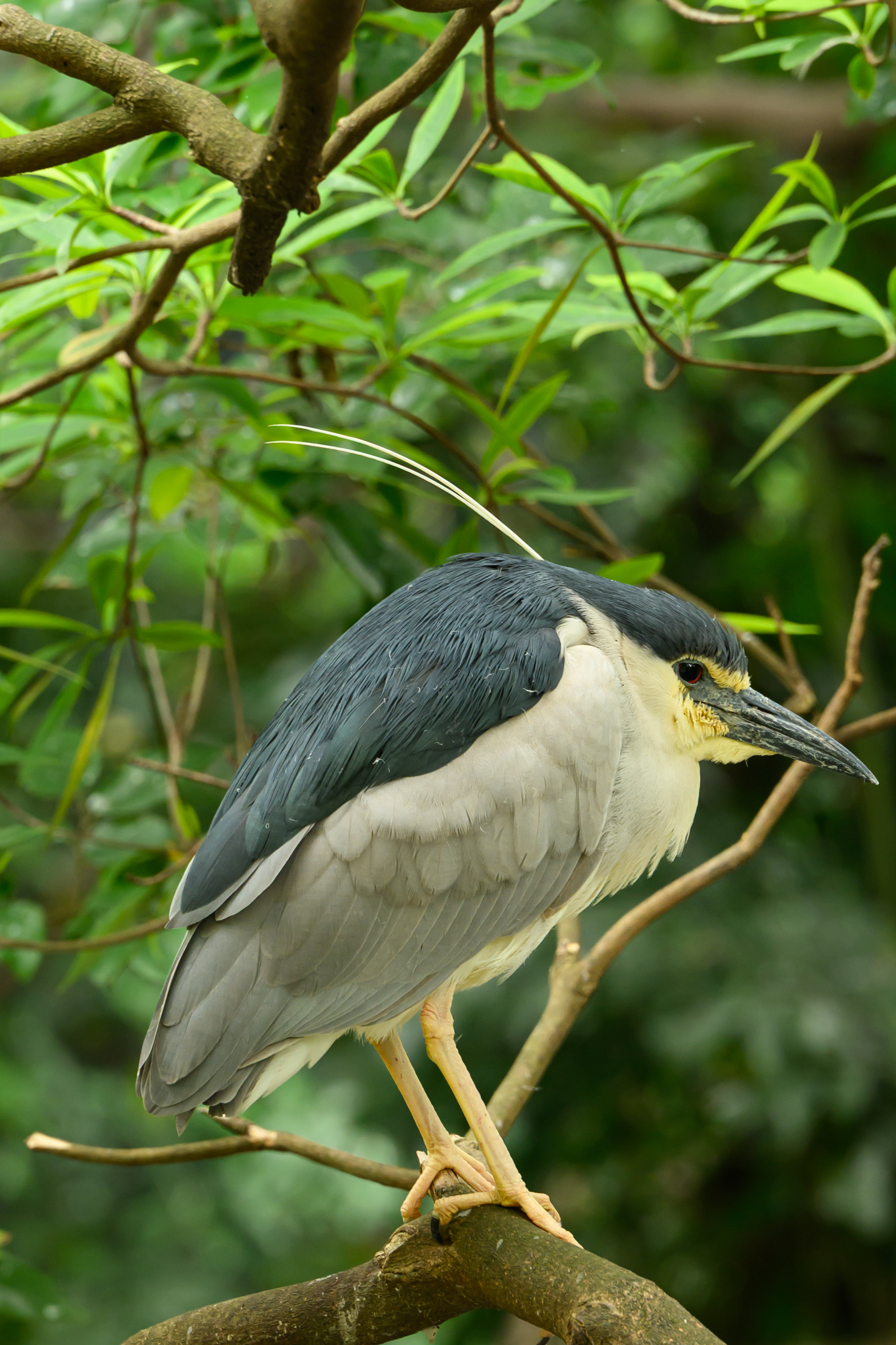 DSC_1207_结果.jpg