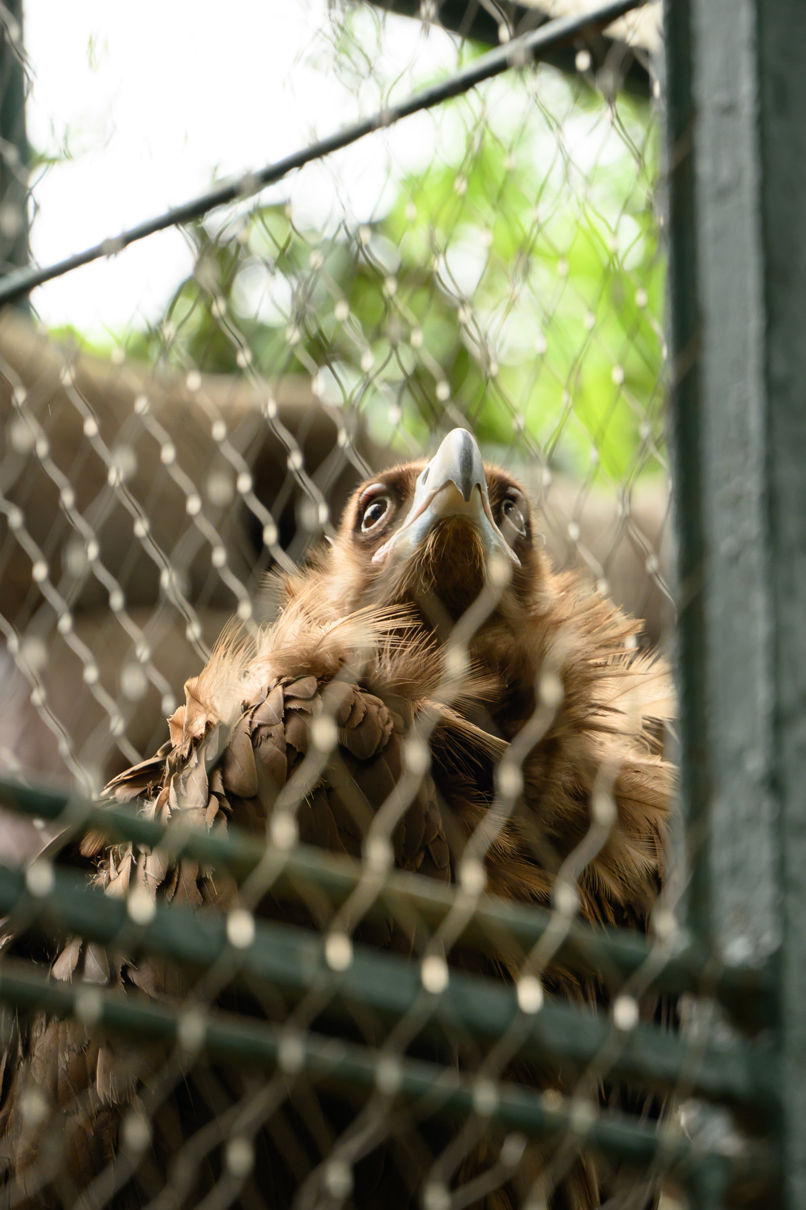 DSC_1250_结果.jpg
