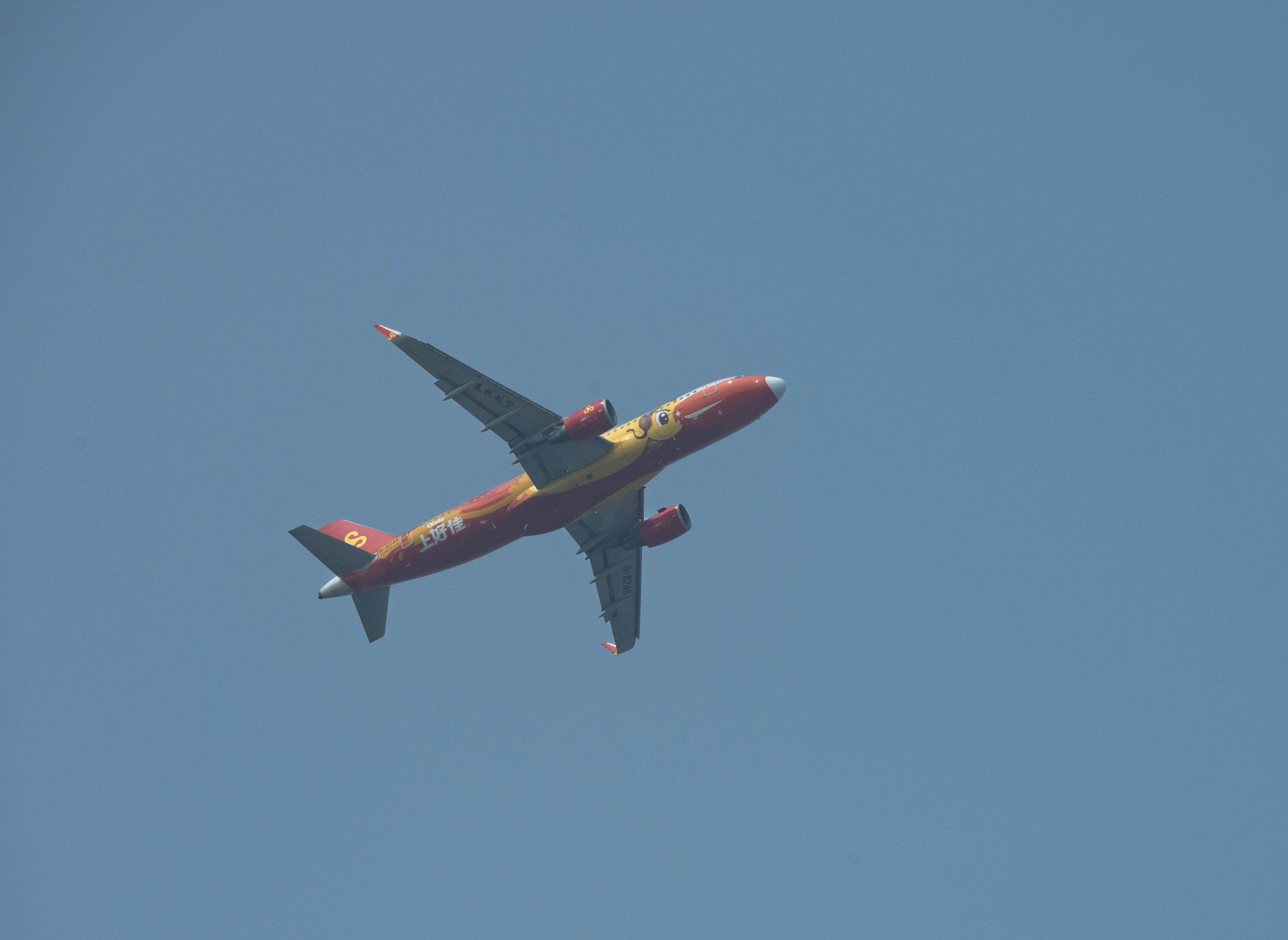DSC_0672_结果.jpg