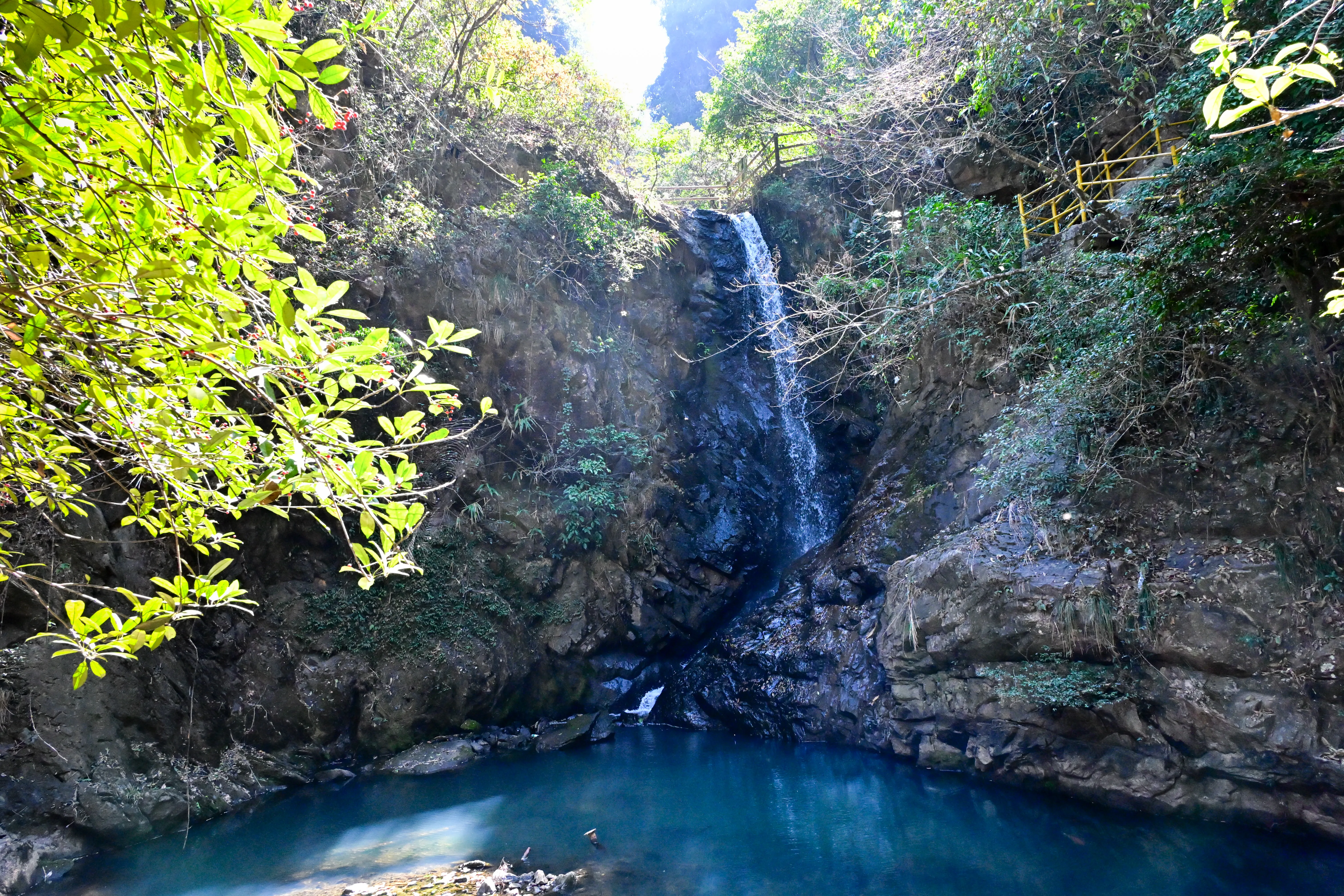 DSC_1672_结果.webp