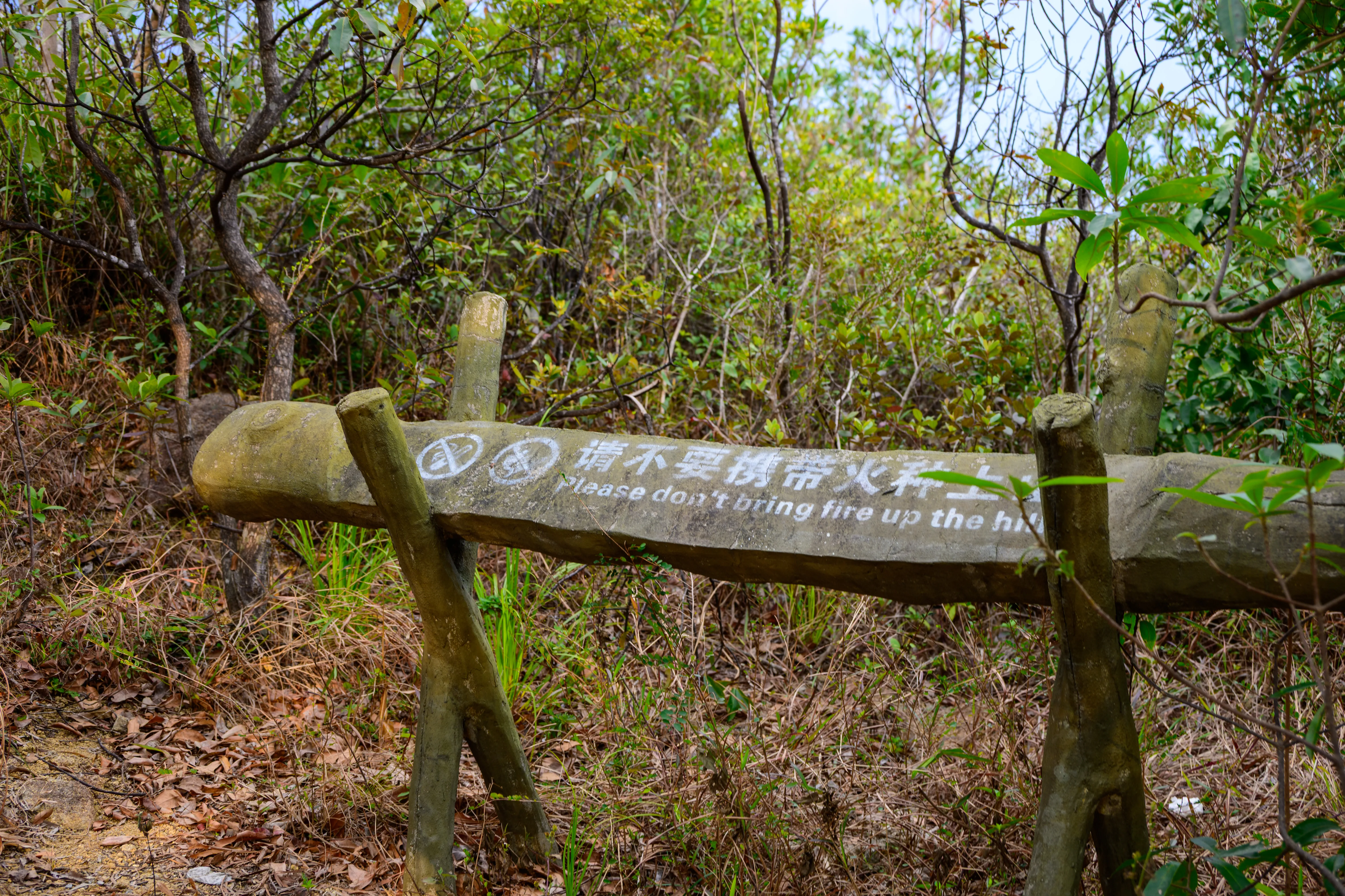 DSC_1978_结果.webp