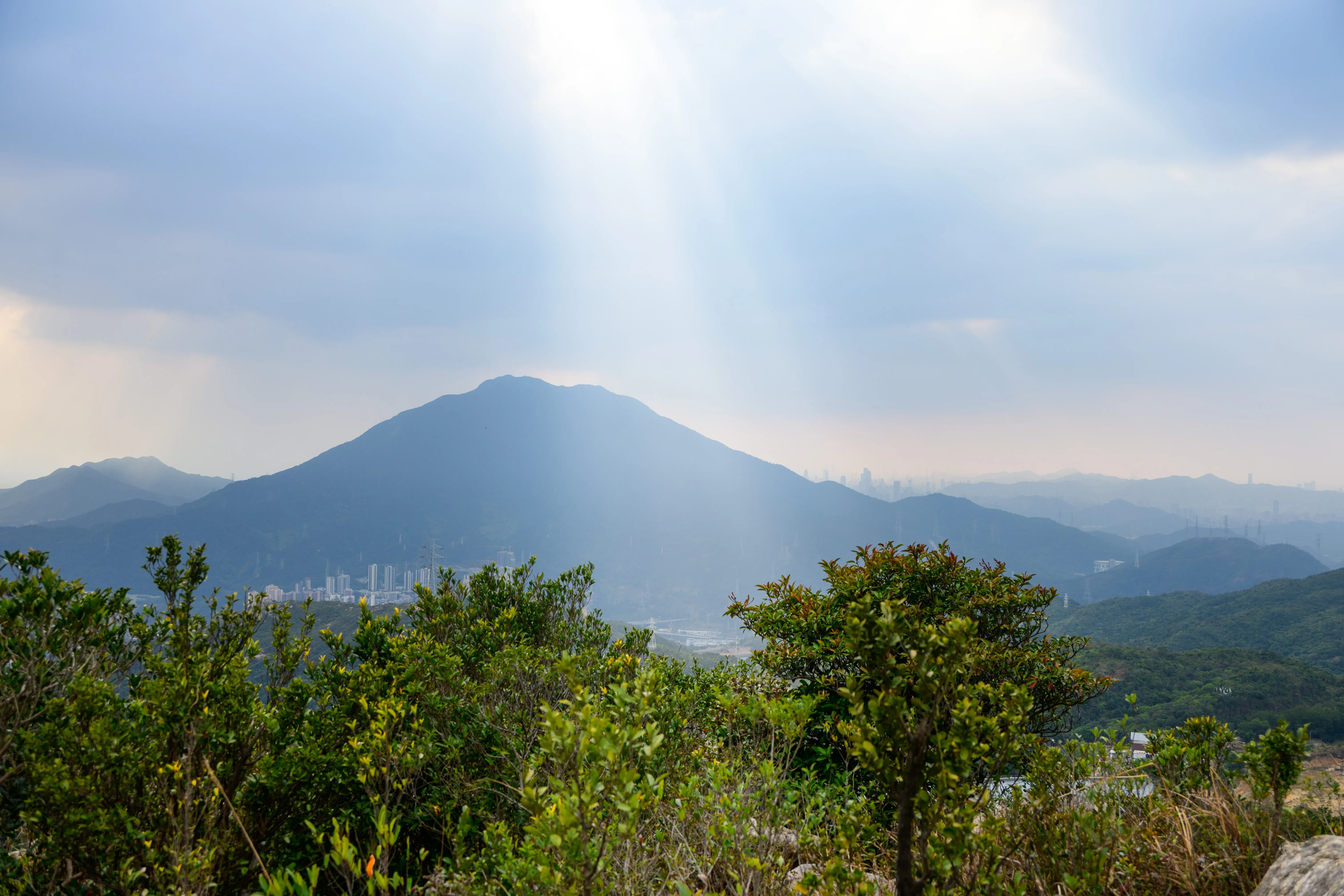 DSC_1949_结果.webp